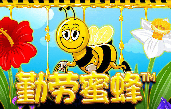 非凡体育app下载安卓