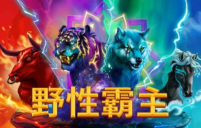 王中王资料大全枓大全正使用教程